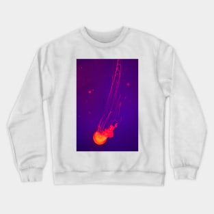 Jellyfish Dance II. Vladivostok Aquarium Crewneck Sweatshirt